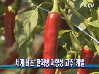 세계 최초 '탄저병 저항성 고추' 개발