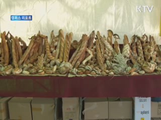 '한국과 세계의 맛 한곳에' [캠퍼스 리포트]