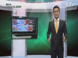 KTV 기획 대한민국의 희망, 창조경제 + (8회)