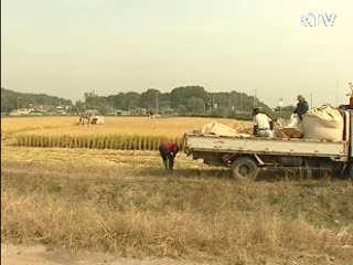 쌀 직불금, 도시민 수령 요건 강화
