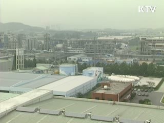 5월 부도업체 수 1년8개월만에 최저