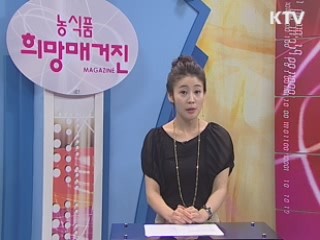 상하이 엑스포 한식 홍보관 운영