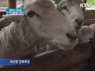 최고 휴양지 '평창' [캠퍼스 리포트]