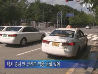 택시·시외버스 전좌석 안전띠 착용 의무화