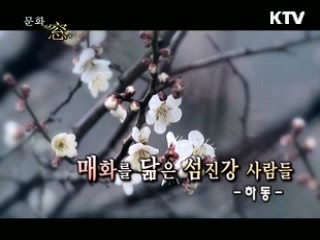 매화를 닮은 섬진강 사람들, 하동