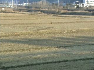 민·관 합동위원회 구성, 세종시 논의