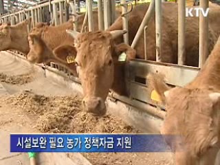 대규모 농가부터 '축산업 허가제' 도입