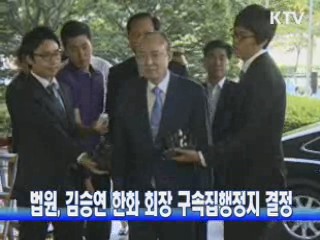 법원, 김승연 한화 회장 구속집행정지 결정