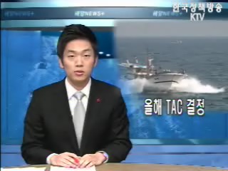 Ocean포커스