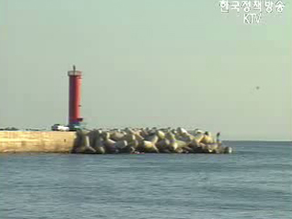 휴가철 낚시어선 실태 점검