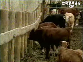 FTA 대비 축산부문 미국 현지 실사