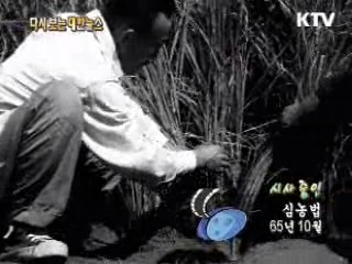 심농법(65')