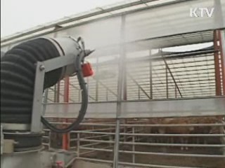 안동 등 5개 지역 백신 접종 실시