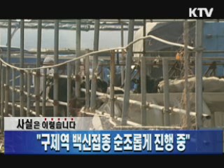 "구제역 백신접종 순조롭게 진행 중"