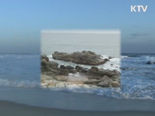 동해에서 새로운 바위섬 700개 찾았다