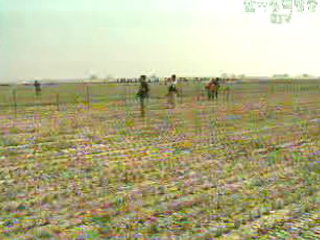 평택 미군기지 예정지 주민 40명 이주 합의