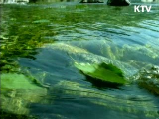 4대강, 수량확보·수질개선 최우선