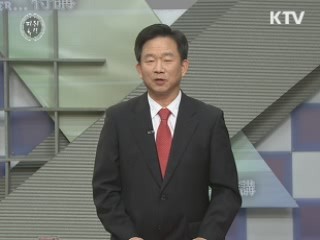 미래를 위한 선택, 세종시 발전안