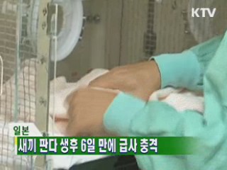 굿모닝 지구촌