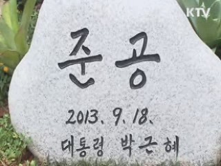 박 대통령 "한-인도네시아 CEPA 조속 추진"