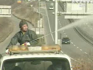 김제 AI 가금류 살처분 작업 재개