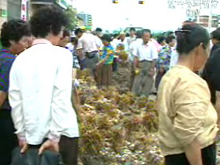 농가인구 초고령화, 30%가 65세 이상