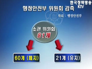 행정안전부 위원회 74% 폐지