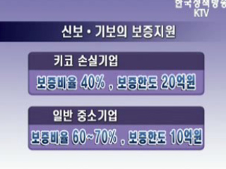  '키코' 손실기업 신속 지원