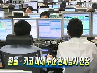 환율·키코 피해 중소기업 관세납기 연장