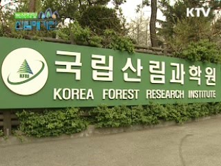 산불, 남향 산림에서 가장 많이 발생