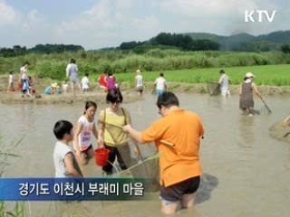 '놀러가고 싶은 농어촌' 만들기