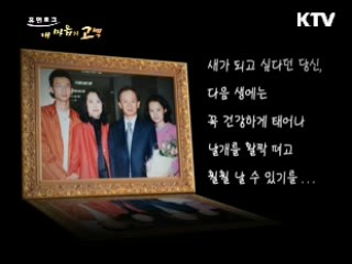 포토 드라마 - '한 잎의 사랑', 지켜주지 못한 아내