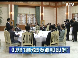 이 대통령 "G20정상회의 성공위해 여야 떠나 협력"