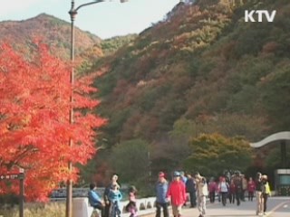 제9회 '산의 날'…산림복지 서비스 본격 추진