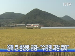 올해 쌀 생산량 급감···"수급에는 지장 없어"