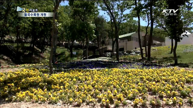 임진강 따라 자생식물 감상해요