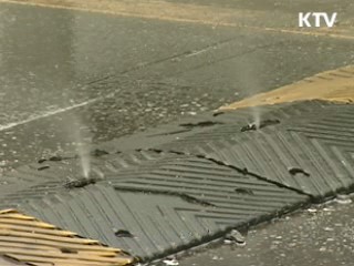 한우농가도 구제역 발생…방역 총력