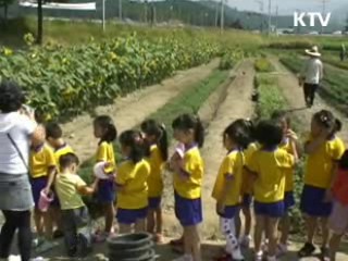 경남도, 도농간 유치원 현장학습 교류