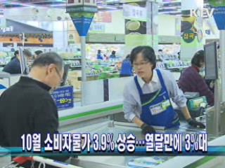 10월 소비자물가 3.9% 상승···열달만에 3%대