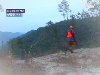 ‘야생동물과 전쟁’ 농작물을 지켜라! [정책, 현장을 가다]