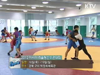 문화캘린더