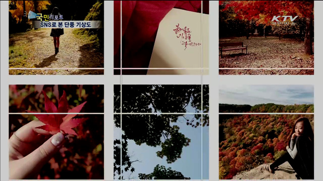 SNS 붉게 물들인 단풍… "가을산행 떠나요"