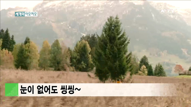 눈이 없어도 씽씽~ [세계 이모저모]