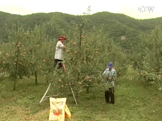 지난해 농림업 생산 43조원 사상최대