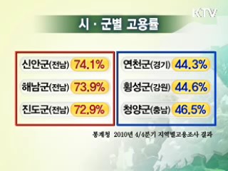 지역별 고용률 서귀포 최고, 춘천 최저