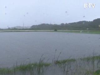 중부 많은 비···다음주 태풍 '망온' 영향권