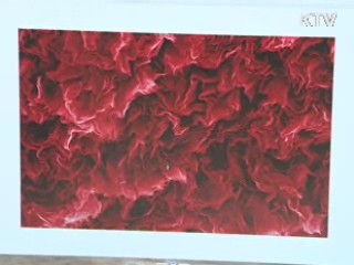 국내 연구진, 거미줄보다 6배 질긴 섬유 개발