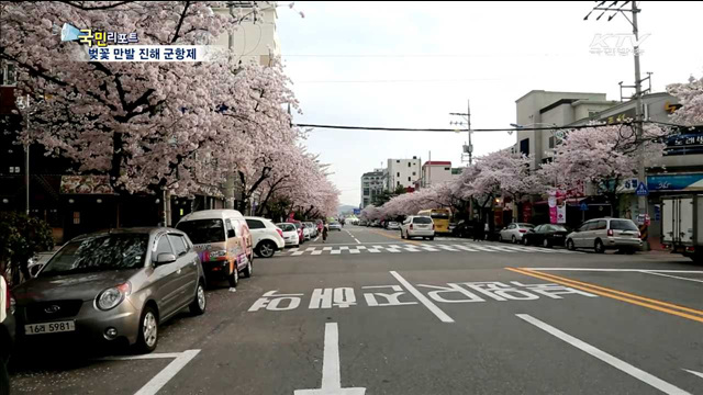 벚꽃 향기 가득 진해 군항제