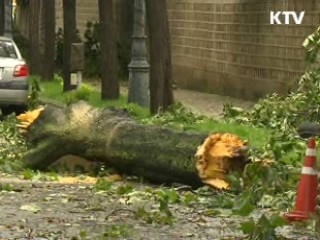 9월까지 늦더위 지속, 태풍 더 온다