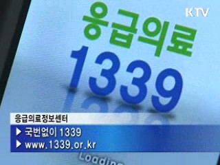 추석 연휴 응급 상황엔 국번 없이 1339!